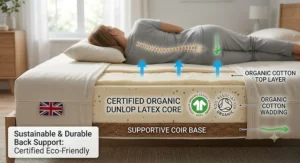 Certified eco-friendly organic Dunlop latex core providing sustainable and durable back support